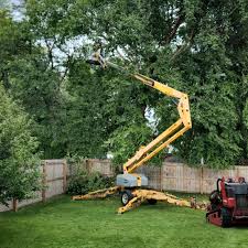 Pest Control for Lawns in Trevose, PA